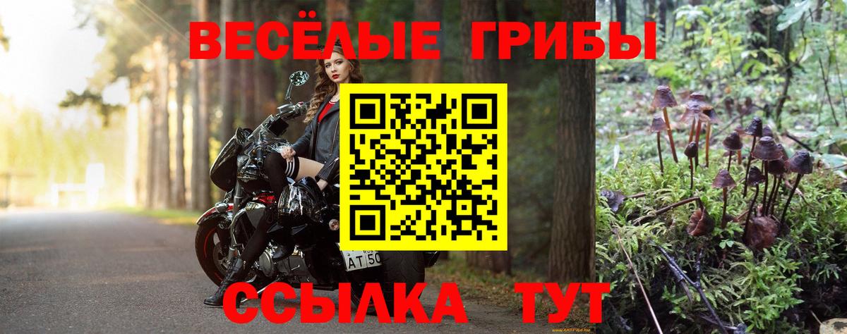 Комсомольск-на-Амуре  Галлюциногенные грибы Psilocybine cubensis  Вход с VPN 