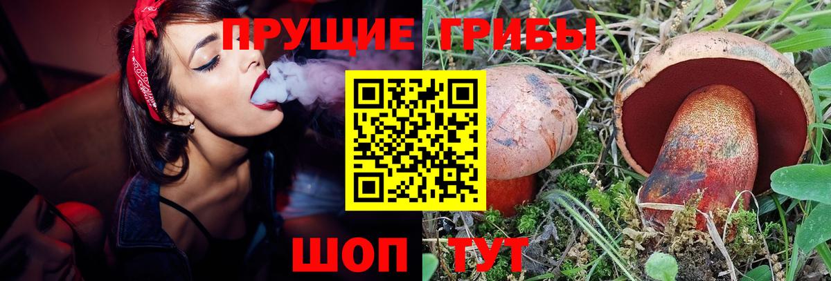 Галлюциногенные грибы Psilocybine cubensis Комсомольск-на-Амуре